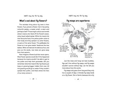 Wildlife Wong and the Fig Wasp