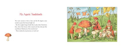 Tales of the Mushroom Folk