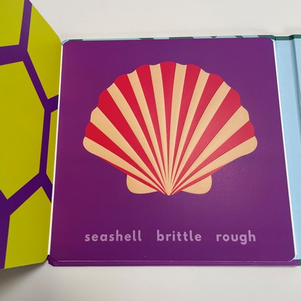 Look Touch Learn: Sea