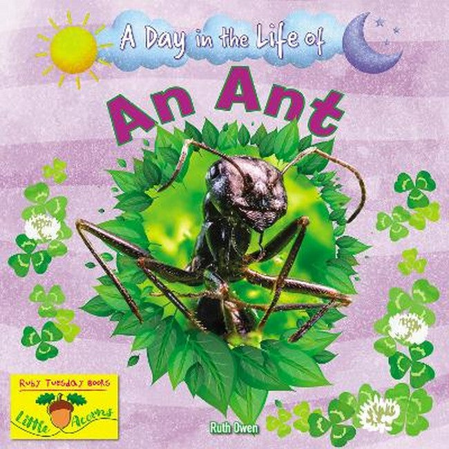 An Ant