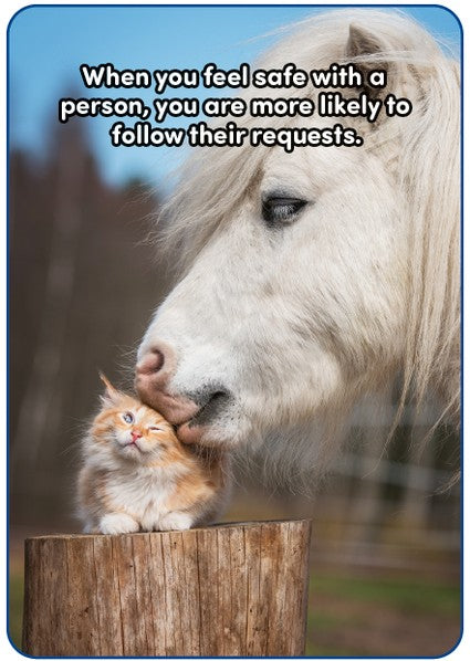 All About Neurodiversity