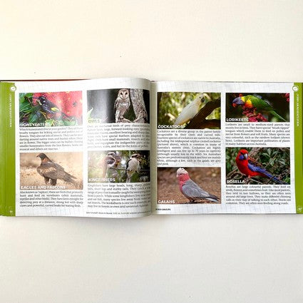 Local Safari Australia