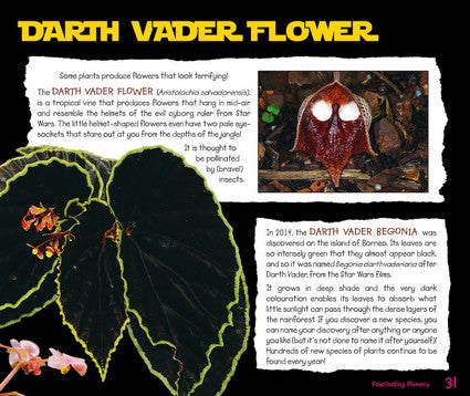 What on Earth Plants?