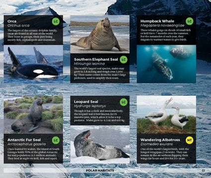 Amazing Ecosystems