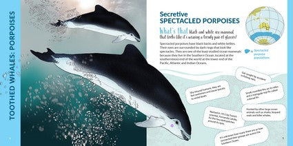 What's That? Australian Whales, Dolphins & Porpoises