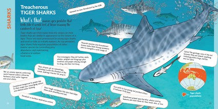 What's That? Australian Sharks, Rays & Skates