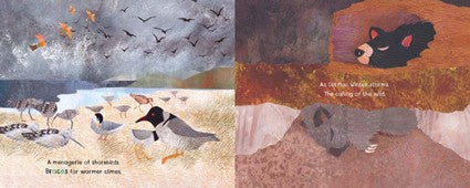 The A in the Rainforest