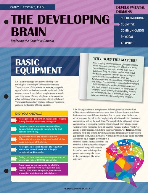 The Developing Brain