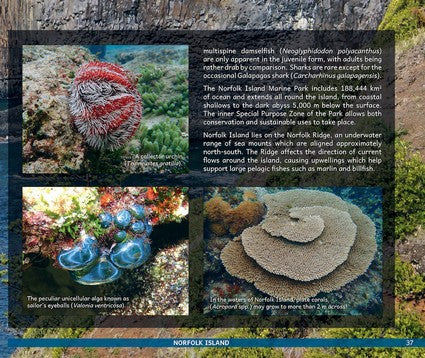 Australia's Amazing Islands